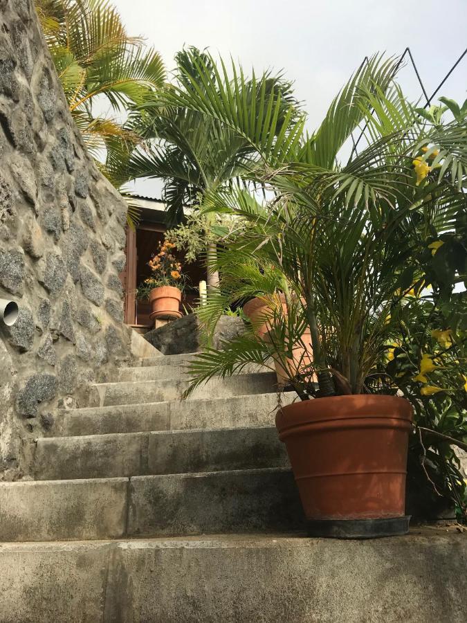 Villa Moai 974 Сен-Лё Экстерьер фото
